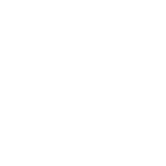 Project Viability